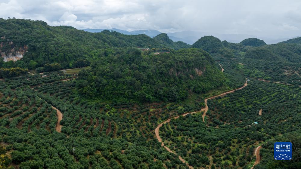 推饼子游戏下载